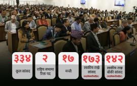 १७३ संघीय सांसदले गरिसके स्वकीय सचिव नियुक्ति, १४२ ले छान्दैछन्