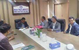 १६ हजार मेगावाट विद्युत्‌मा पीपीए खुलाउन इप्पानको माग