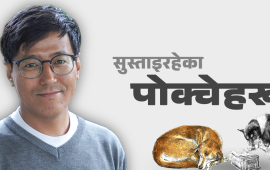 कालो मसीमा देखिने पाटनको एकान्त र थाकेका कुकुरहरू