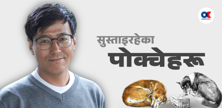 कालो मसीमा देखिने पाटनको एकान्त र थाकेका कुकुरहरू
