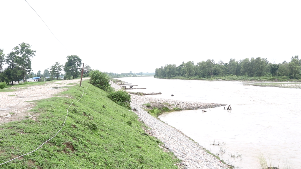 राजापुर र गेरुवामा १२ वर्षमा २१ किलोमिटर तटबन्ध, बजेट अभावले न्यून प्रगति