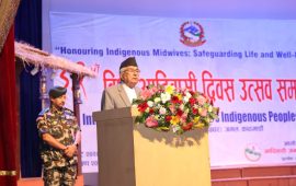 विविधतामा एकताले राष्ट्रिय अखण्डता बलियो बनाउँछ : राष्ट्रपति पौडेल