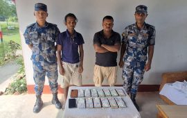 सर्लाहीमा स्रोत नखुलेको १३ लाखसहित २ जना पक्राउ