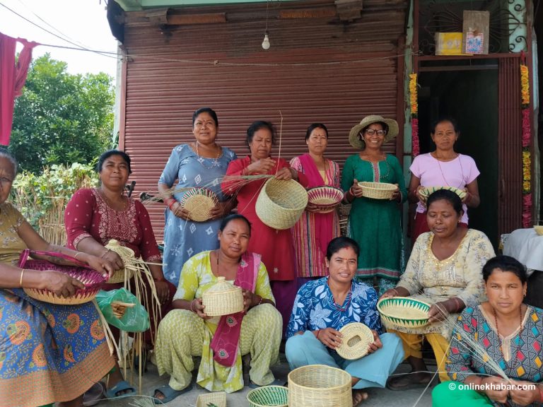 बाढीले खेत खोस्यो, काँसले जीवन फेर्‍यो