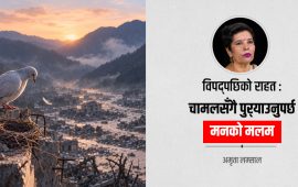 गुँड उजाडिँदा मनमा उर्लने आँधी