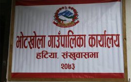 संखुवासभाको भोटखोला बाढीले ४८ बाख्रा बगायो