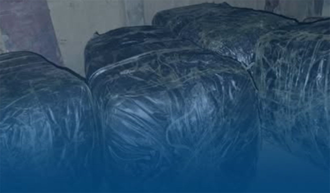 २० क्विन्टल गाँजासहित २ जना पक्राउ