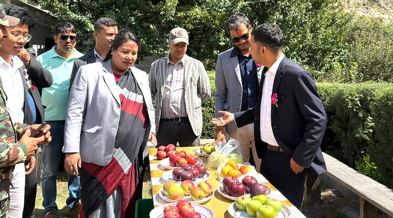 मुस्ताङमा हाइब्रिड स्याउका बिरुवा उत्पादन गर्न प्राविधिक दरबन्दी थप्ने कृषिमन्त्रीको प्रतिबद्धता