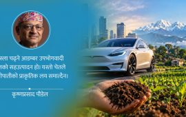 टेस्ला चढ्ने आडम्बर र हाम्रो कृषि–चेत