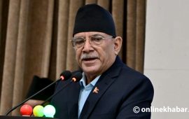 उद्धारमा सेना परिचालन भयो, जनपरिचालन भएन : प्रचण्ड