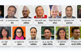 १३ देशमा सिफारिस भएका राजदूतको पृष्ठभूमि के ?