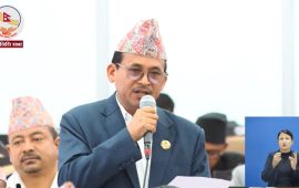 सल्यानमा शृङ्खलाबद्ध दुर्घटना भएको भन्दै सरकारको ध्यानाकर्षण