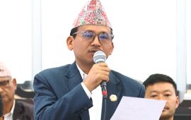 संसद्‌मा उठ्यो लोककल्याणकारी विज्ञापन रोकिएको विषय