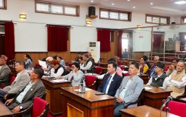 राहत वितरणमा एकद्धार प्रणाली नभन्न सरकारलाई राष्ट्रिय सभा सदस्यहरूको सुझाव