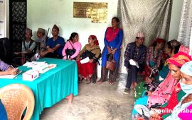 सल्यानका सात पालिकामा फैलियो स्क्रब टाइफस, अध्ययन गर्न विज्ञ टोली आउँदै