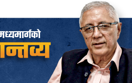 मध्यमार्गी शेखरका दुई भूल