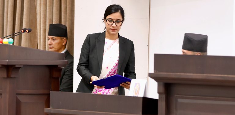राष्ट्रिय सेवा दल विधेयक प्रतिनिधिसभाबाट पारित