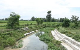 काकाकुल मधेश : सोती खोलाको मुहान अतिक्रमणको चपेटामा