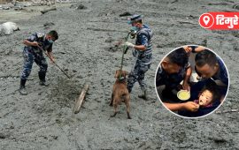 टिमुरे बीओपी : कमान्डरसहित १३ जना गुमायो, हरेस नखाई डटिरह्यो