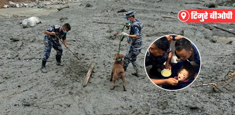 टिमुरे बीओपी : कमान्डरसहित १३ जना गुमायो, हरेस नखाई डटिरह्यो