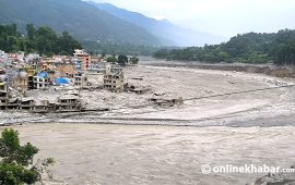 भोटेकोशी बाढी : दुई हजार भन्दा बढी घरवास पूर्णरूपमा नष्ट, नुवाकोटमा धेरै