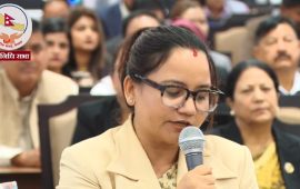 रसुवा बाढी गम्भीर राष्ट्रिय संकट हो, सरकार गम्भीर होस् : बासना थापा