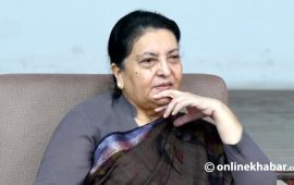 देश भौगालिक र राजनीतिक दुवै हिसाबले संवेदनशील छ : पूर्वराष्ट्रपति भण्डारी