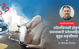 प्रदेश विनाको सङ्घीयता सम्भव छ त ?