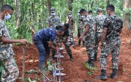चितवनमा शव व्यवस्थापन गरिएको ठाउँमा स्मृति उद्यान बनाइने