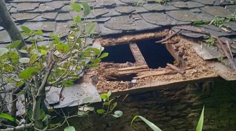 बैतडीमा चोरीको आरोपमा वडा सदस्यसहित चार जना पक्राउ