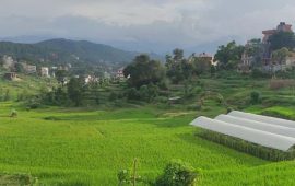 दुई दशकदेखि रोकिएको धुलिखेल जग्गा विकास आयोजना ब्युँतिँदै