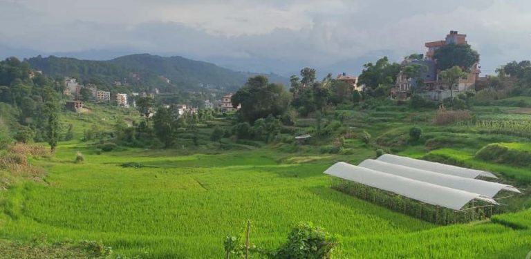 दुई दशकदेखि रोकिएको धुलिखेल जग्गा विकास आयोजना ब्युँतिँदै