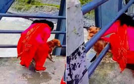 उर्लिंदो नदीमा कुकुर फाल्ने महिला को थिइन् ? पहिचान गर्दै प्रहरी