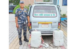 अस्पतालको भ्यानबाट ६० किलो गाँजा बरामद, चालक फरार