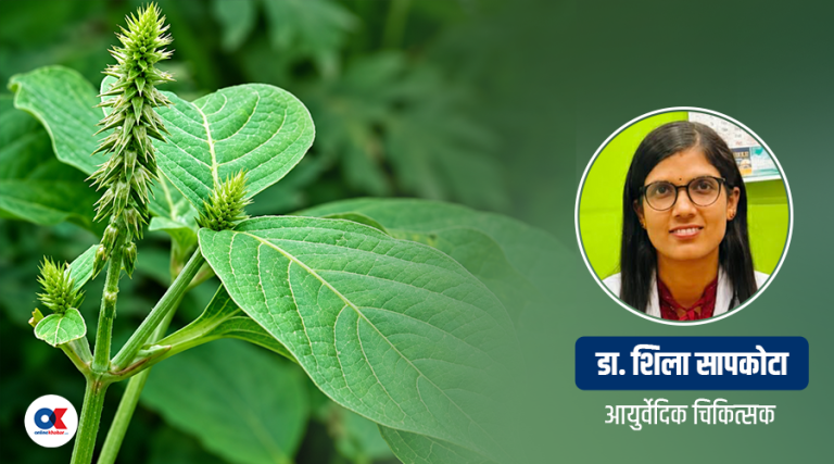 ऋषि पञ्चमीसँग जोडिएको वनस्पति ‘दतिवन’ बारे आयुर्वेदमा के भनिएको छ ?
