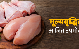 कुखुरा मासुमा अचाक्ली मूल्यवृद्धि, खुद्रामा लुटिँदै उपभोक्ता