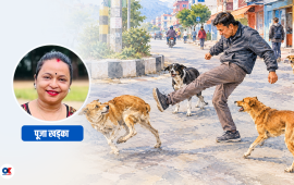 कसले सुनिदिने र कसले बुझिदिने ?