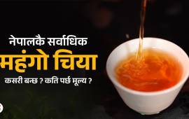 नेपालकै सर्वाधिक महंगो चिया कसरी बन्छ ? कति पर्छ मूल्य ?