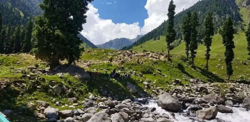 ब्रट्टल इलाकामा भारतीय सुरक्षा फौजको संयुक्त अभियान