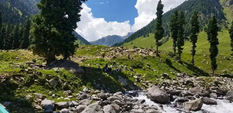 ब्रट्टल इलाकामा भारतीय सुरक्षा फौजको संयुक्त अभियान