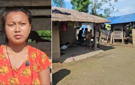 जंगलमा बाघको राज : बस्तीमा त्रास