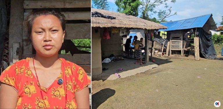 जंगलमा बाघको राज : बस्तीमा त्रास