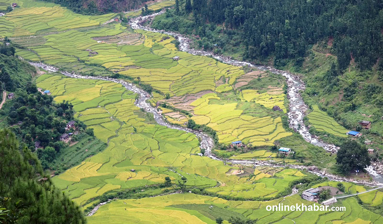 कर्णालीमा कृषि उपजमा लाग्दै आएको कर खारेज, उत्पादन र बजारीकरण सहज हुने अपेक्षा