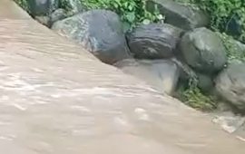 रुकुम पश्चिममा खोलाले बगाएर महिलाको मृत्यु
