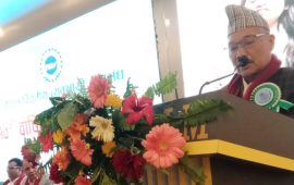 जेनजी आन्दोलनमा आगजनीका घटना घटाउनु अपराध हो : प्रदेश प्रमुख घर्ती
