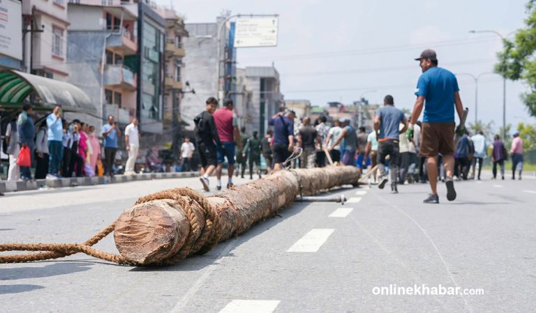 काभ्रेको नालाबाट भक्तपुर ल्याइयो इन्द्रजात्राको लिङ्‍गो (तस्वीरहरू)