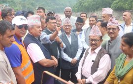 शक्ति राष्ट्रहरूको गद्धारीले नेपाल पीडामा छ : माधव नेपाल