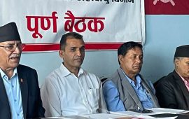 हिमाली संकटलाई जलवायु न्याय र अन्तर्राष्ट्रिय जिम्मेवारीको राजनीतिक मुद्दा बनाउनुपर्छ: सापकोटा