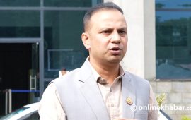 उद्धारको विषयलाई लिएर सरकार असफल भयो भन्ने निष्कर्षमा पुग्नु हतारो हुन्छ : मनिष झा