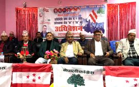 नैनसिंह महरलाई महामन्त्रीमा अघि बढाउने डडेलधुरा कांग्रेसको निर्णय
